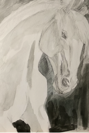 Draw Anything-graduate art-1