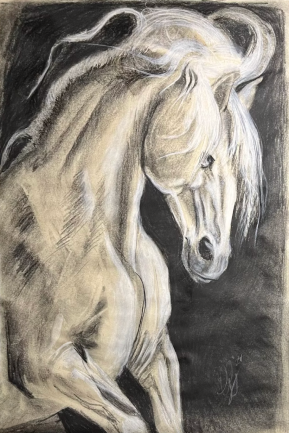 Draw Anything-graduate art-3
