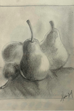 Simple charcoal drawing of fruit graduate work