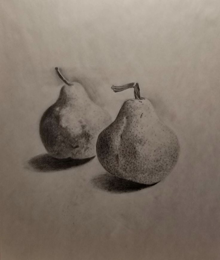 Pear drawing _ Bjørn Brøndsted