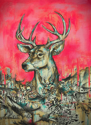 Screenshot 2026-02-11 at 11.19.19 AM