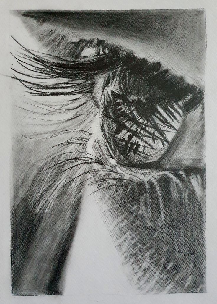 Small scale realism drawing