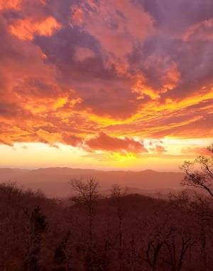 a4c24a_4fe29af267814825863c9c01b07ef38e~mv2