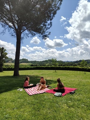 a4c24a_cadb8f070b2d4ddea471439116197e02~mv2