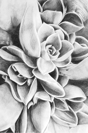 draw anything 4