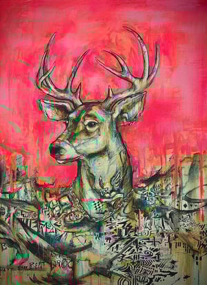 photo_2026-04-23 11.36.08